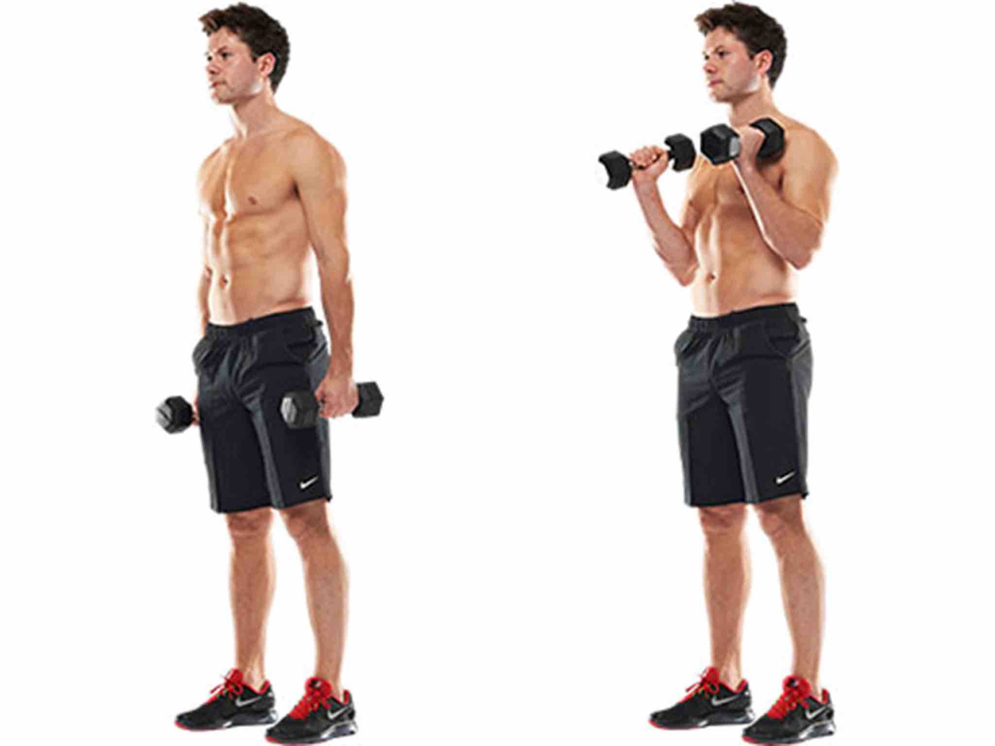 Dumbbell Bicep Curls