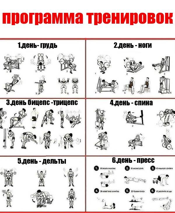 План конспект в тренажерном зале