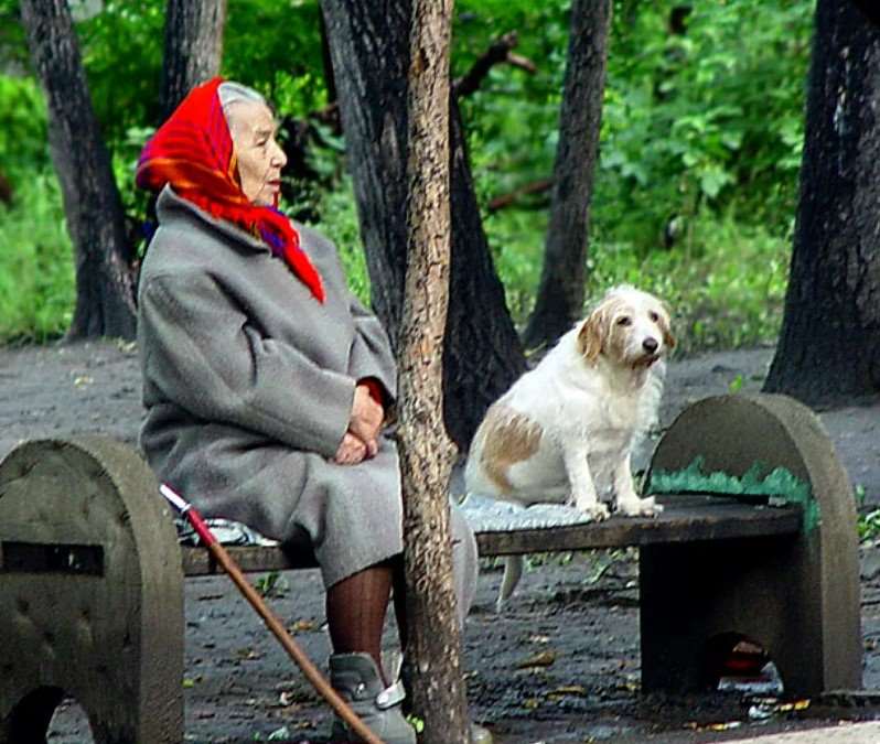 Пожилые собаки возраст. Старушка с собачкой. Бабушка с собакой. Старушка с собакой. Бабушка гуляет с собакой.