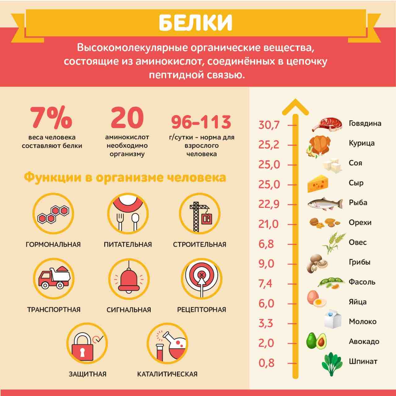 Норма белка в день для мужчин – Онлайн-журнал Льва Гончарова о ЗОЖ и  вредных привычках.