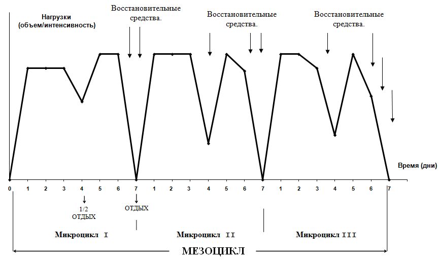 План втягивающего микроцикла