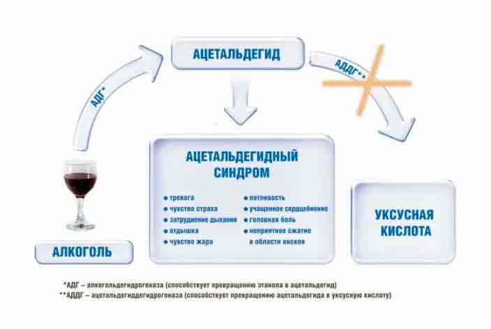 Можно ли выпить после тренировки