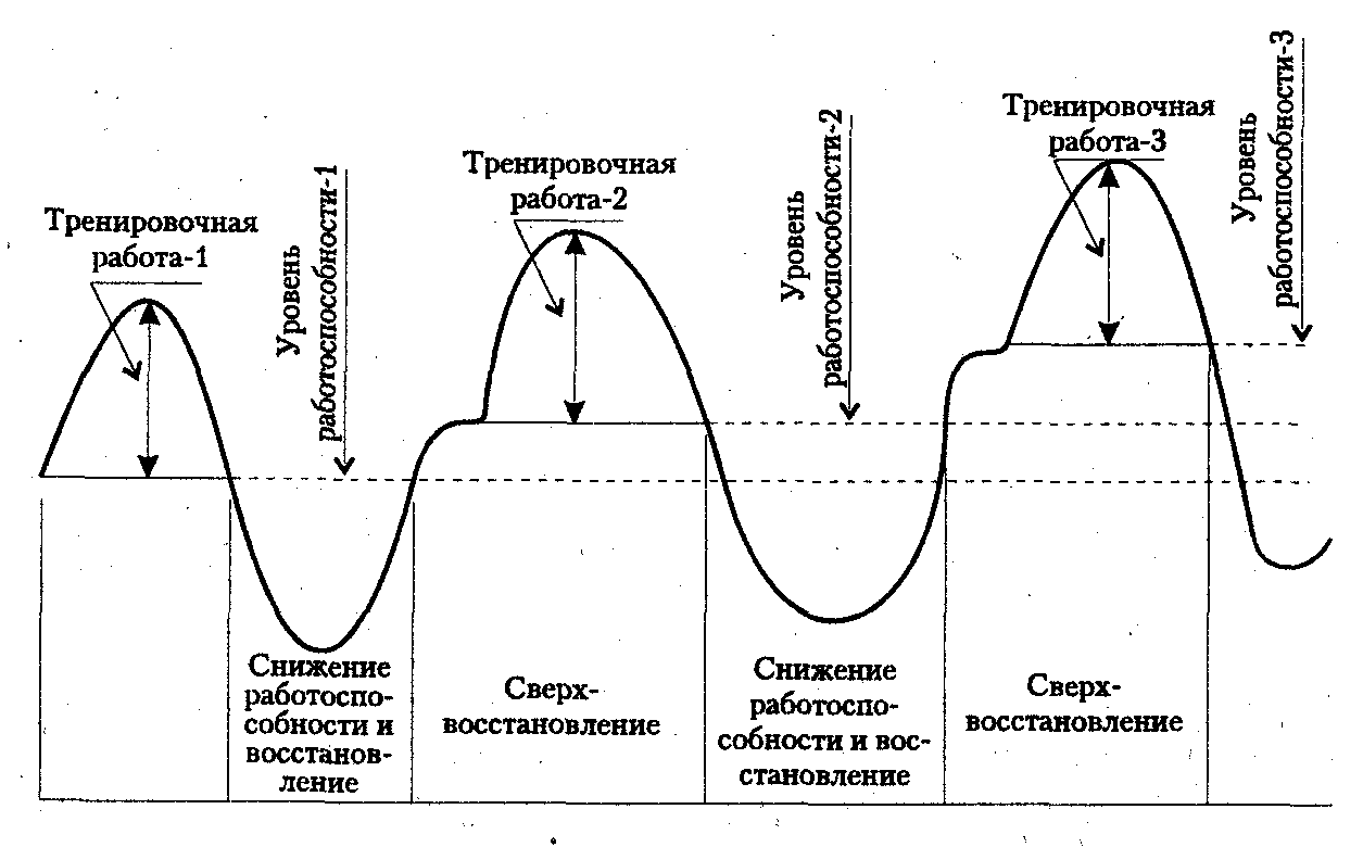 Нет прогресса в тренировках – Онлайн-журнал Льва Гончарова о ЗОЖ и вредных  привычках.