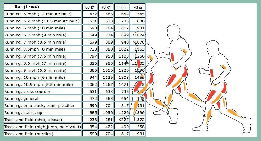 Rychlost běhu a spálené kalorie